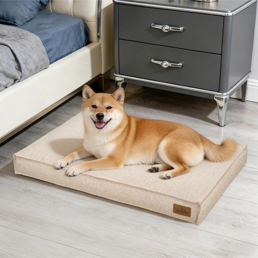 BingoPaw Large Dog Bed Washable With Linen Cover Foam Base