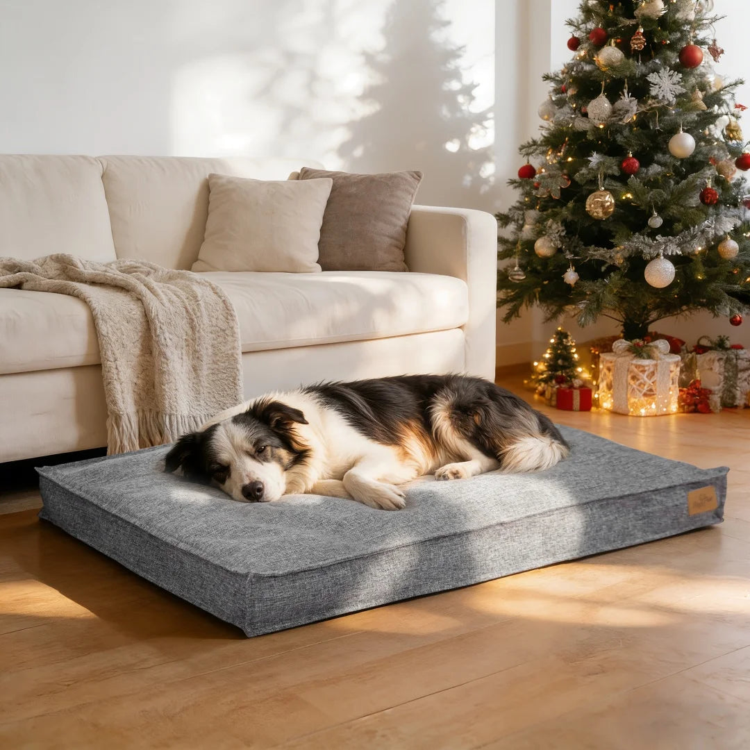 BingoPaw Large Dog Bed Washable With Linen Cover Foam Base