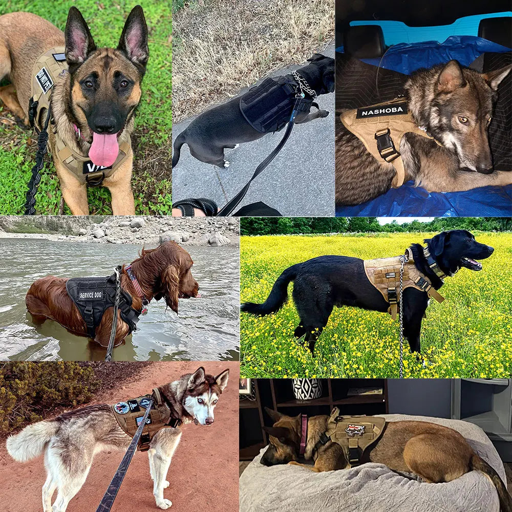 Nylon Dog Harness And Leash Set Padded Quick Release Vest