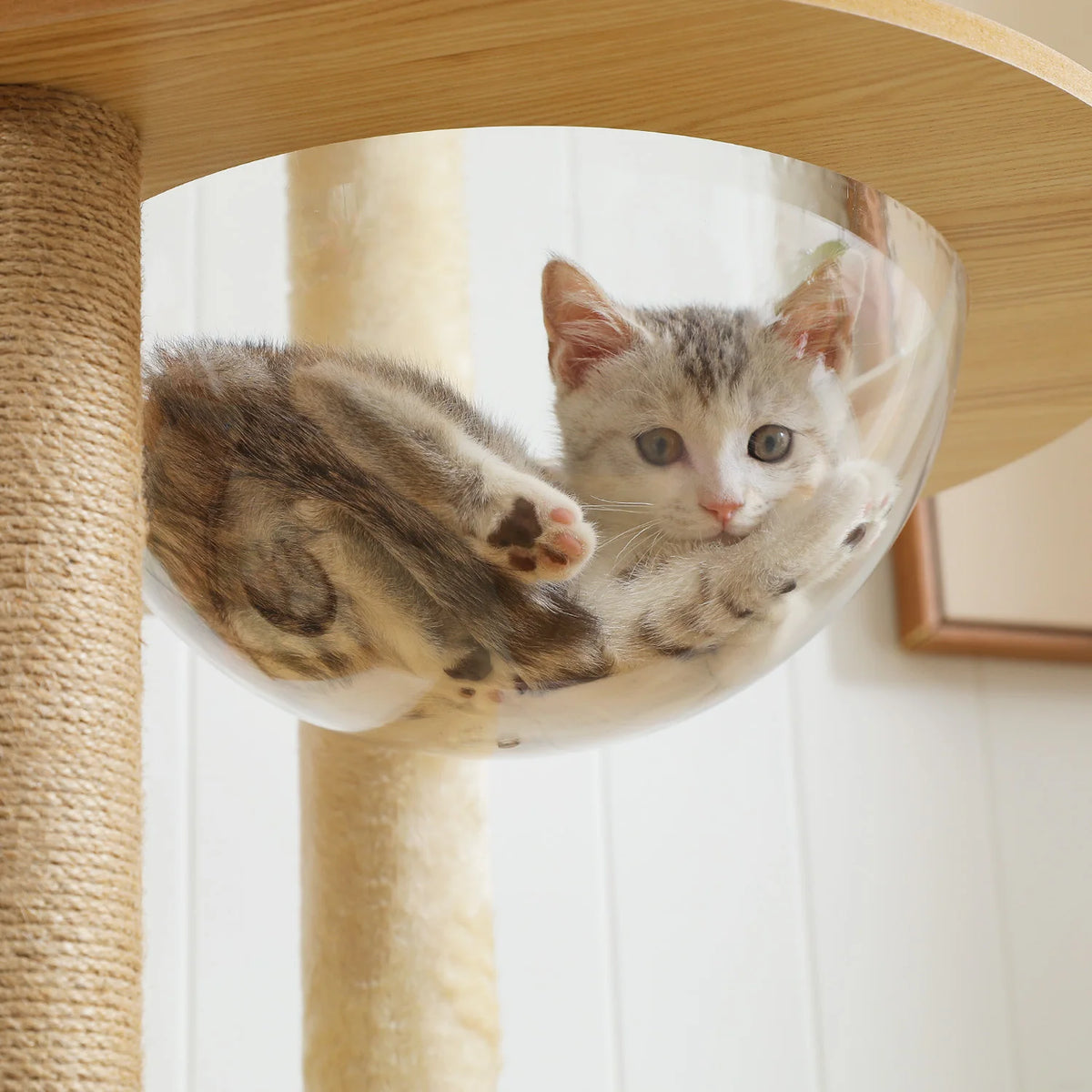PAWZ Ro Multi Level Cat Tree With Scratching Posts Wood
